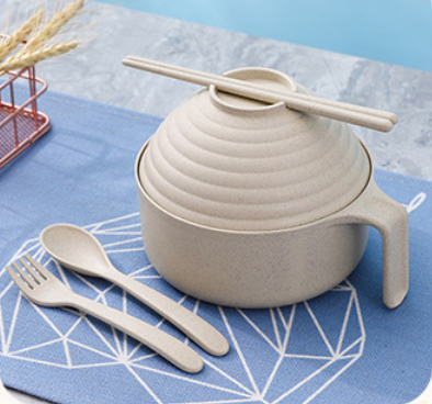 Instant Noodle Tableware Set - 5 - piece Modern Bowl & Utensil Kit