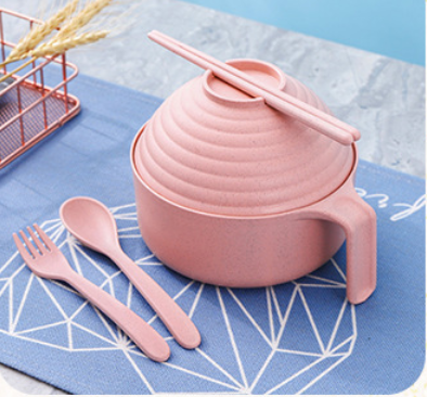 Instant Noodle Tableware Set - 5 - piece Modern Bowl & Utensil Kit