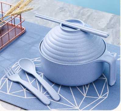 Instant Noodle Tableware Set - 5 - piece Modern Bowl & Utensil Kit